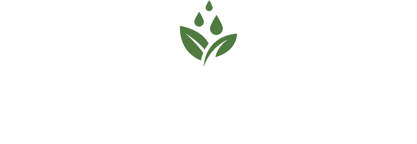 Hastings Homeopathic Practitioner | Holistic & Natural Health Care